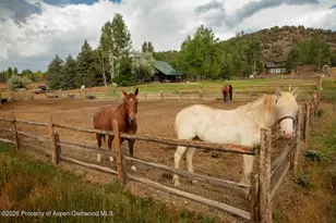 50 Alexander Ave, Snowmass, CO 81654 - Photo 22