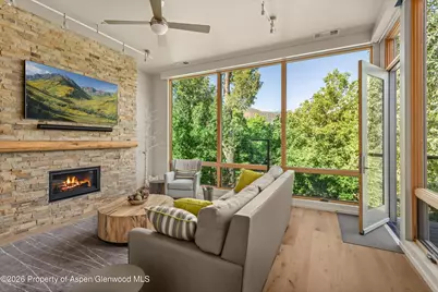 101 Willits Way #205, Basalt, CO 81621 - Photo 4