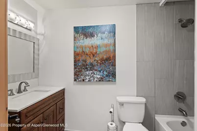 248 Basalt Mountain Drive, Carbondale, CO 81623 - Photo 22
