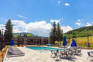 38750 Hwy 82, Aspen, CO 81611 - Photo 22