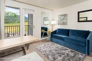 38750 Hwy 82, Aspen, CO 81611 - Photo 2