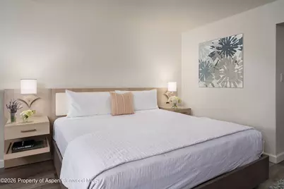 38750 Highway 82 #2273, Aspen, CO 81611 - Photo 6