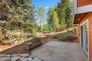 985 Lupine Cir, Basalt, CO 81621 - Photo 28