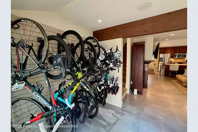 100 N 8th Street #7, Aspen, CO 81611 - Photo 10