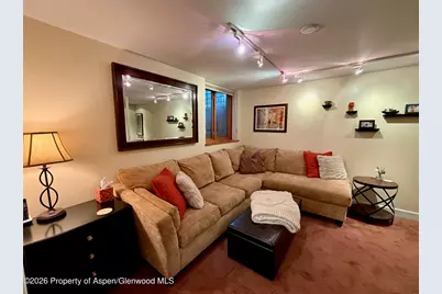 100 N 8th Street #7, Aspen, CO 81611 - Photo 18