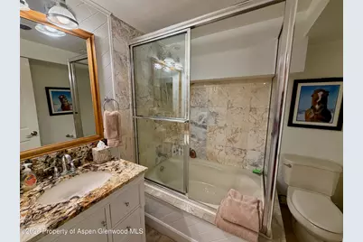 100 N 8th Street #7, Aspen, CO 81611 - Photo 20