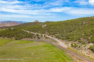 49991 Eagles Way, Mesa, CO 81643 - Photo 6