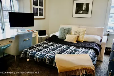 630 E Cooper Avenue #20, Aspen, CO 81611 - Photo 22