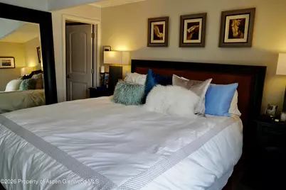 630 E Cooper Avenue #20, Aspen, CO 81611 - Photo 16
