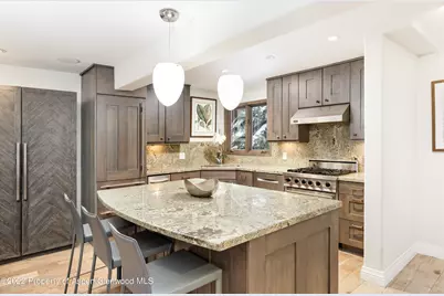 100 N 8th Street #20, Aspen, CO 81611 - Photo 6