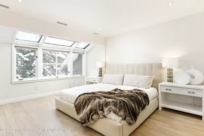100 N 8th Street #20, Aspen, CO 81611 - Photo 8
