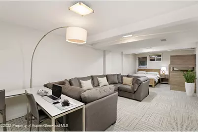 100 N 8th Street #20, Aspen, CO 81611 - Photo 14