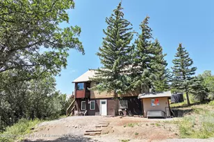 15699 Aspen Glen Ln, Collbran, CO 81624 - Photo 2