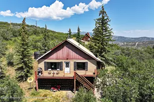 15699 Aspen Glen Ln, Collbran, CO 81624 - Photo 1