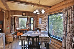 15699 Aspen Glen Ln, Collbran, CO 81624 - Photo 12