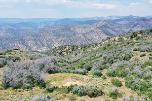 Tbd Old Spink Canyon Rd, Loma, CO 81524 - Photo 20