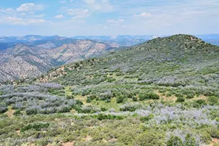 Tbd Old Spink Canyon Rd, Loma, CO 81524 - Photo 26