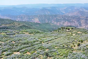Tbd Old Spink Canyon Rd, Loma, CO 81524 - Photo 22