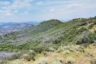 Tbd Old Spink Canyon Rd, Loma, CO 81524 - Photo 14