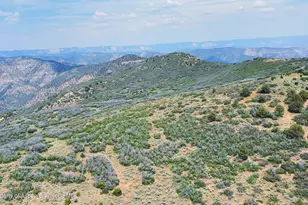 Tbd Old Spink Canyon Rd, Loma, CO 81524 - Photo 16