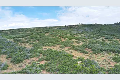 Tbd Old Spink Canyon Road, Loma, CO 81524 - Photo 4