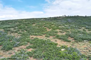 Tbd Old Spink Canyon Rd, Loma, CO 81524 - Photo 4