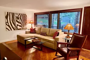 731 S Mill St, Aspen, CO 81611 - Photo 4