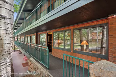 731 S Mill Street #2c, Aspen, CO 81611 - Photo 18