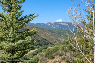 553 Brush Creek Rd, Aspen, CO 81611 - Photo 18