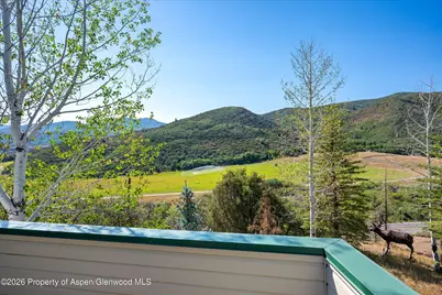 553 Brush Creek Road, Aspen, CO 81611 - Photo 8