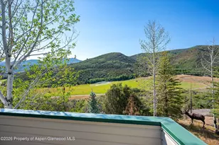 553 Brush Creek Rd, Aspen, CO 81611 - Photo 8