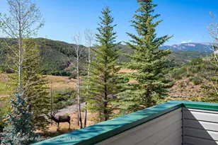 553 Brush Creek Rd, Aspen, CO 81611 - Photo 10