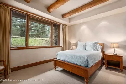 247 Willoughby Way, Aspen, CO 81611 - Photo 34