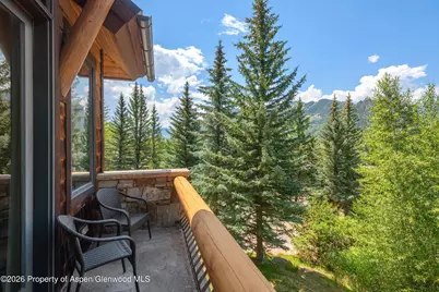 247 Willoughby Way, Aspen, CO 81611 - Photo 18