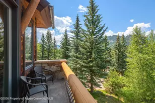 247 Willoughby Way, Aspen, CO 81611 - Photo 18