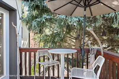 414 Aspen Airport Business #C, Aspen, CO 81611 - Photo 22