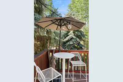414 Aspen Airport Business #C, Aspen, CO 81611 - Photo 20