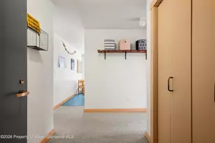 115 Boomerang Rd, Aspen, CO 81611 - Photo 30