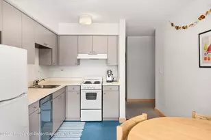 115 Boomerang Rd, Aspen, CO 81611 - Photo 10