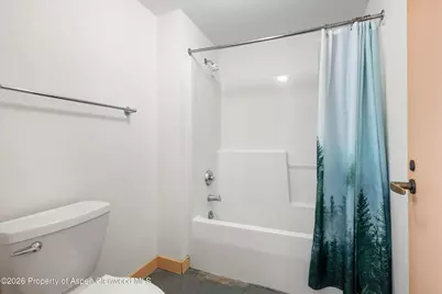 115 Boomerang Road #5309, Aspen, CO 81611 - Photo 28
