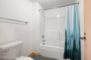 115 Boomerang Rd, Aspen, CO 81611 - Photo 28