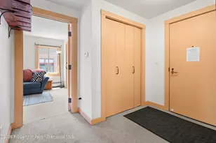 115 Boomerang Rd, Aspen, CO 81611 - Photo 30