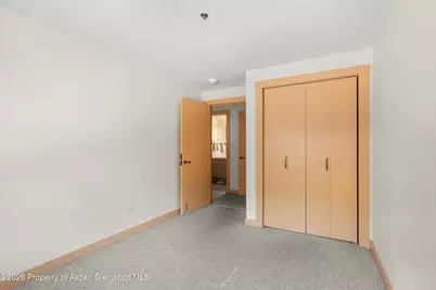 115 Boomerang Road #5309, Aspen, CO 81611 - Photo 18