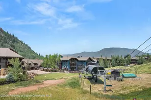 115 Boomerang Rd, Aspen, CO 81611 - Photo 36