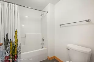 115 Boomerang Rd, Aspen, CO 81611 - Photo 26