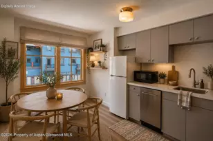 115 Boomerang Rd, Aspen, CO 81611 - Photo 8