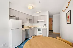 115 Boomerang Rd, Aspen, CO 81611 - Photo 12