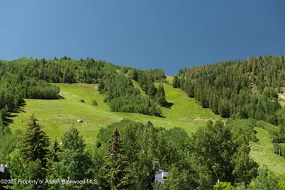 714 S Galena Street #B, Aspen, CO 81611 - Photo 26