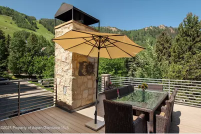 714 S Galena Street #B, Aspen, CO 81611 - Photo 18