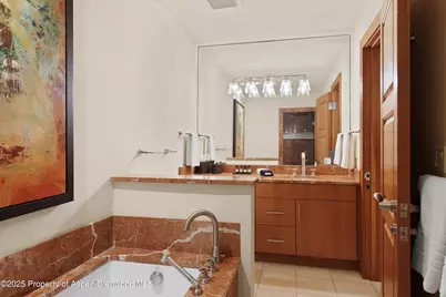 714 S Galena Street #B, Aspen, CO 81611 - Photo 40